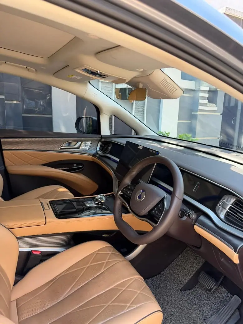 Denza D9, interior