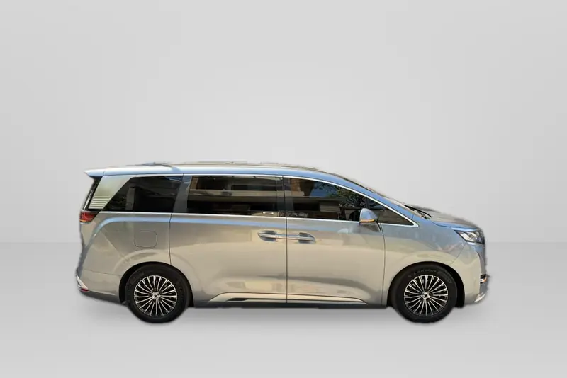Denza D9, side