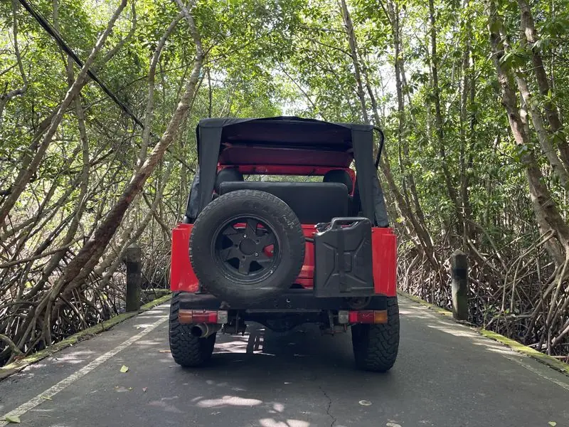 Jeep CJ-5 Mambo Red Automatic, back