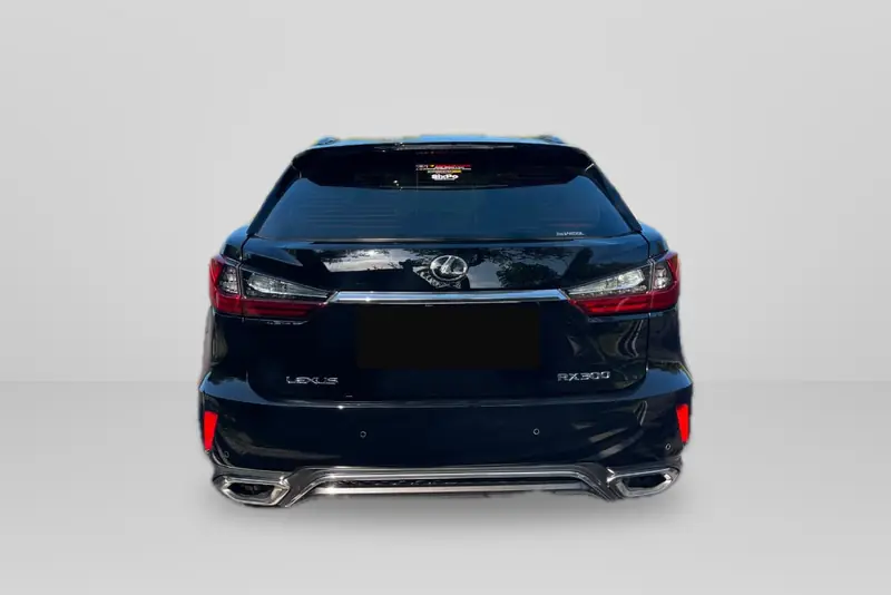 Lexus RX 300 Black, back