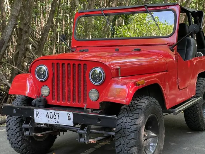 A red classic Jeep CJ-5, roof off, on a jungle road