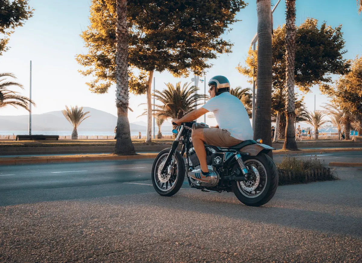 A rider on a cruiser motorcycle on a seafront road lined with palm trees