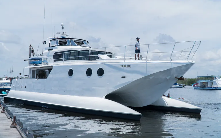 A large white twin-hulled cruise catamaran moored in a marina